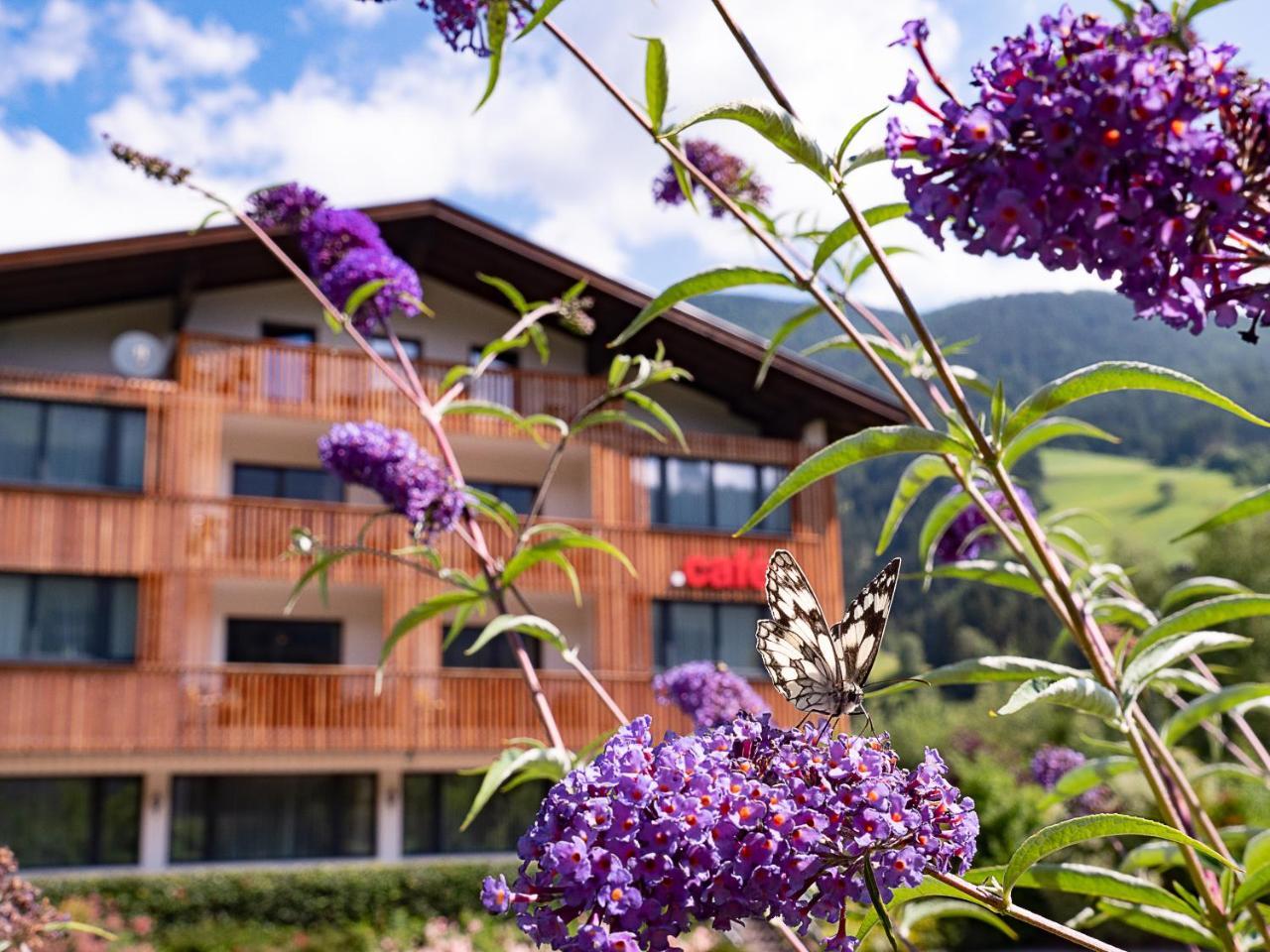 Der Brueckenwirt Aparthotel Heinfels Exterior photo